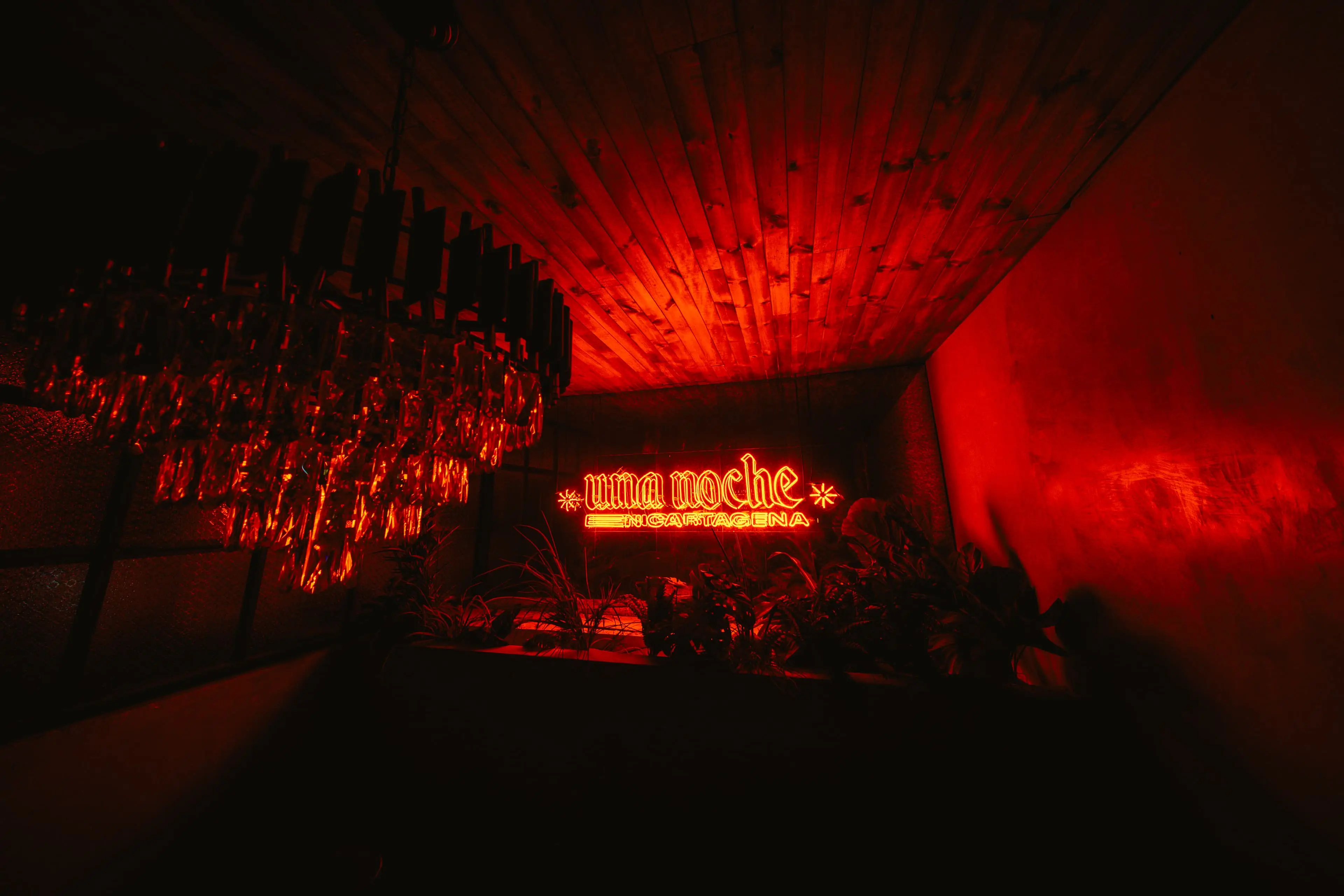 VIP Night