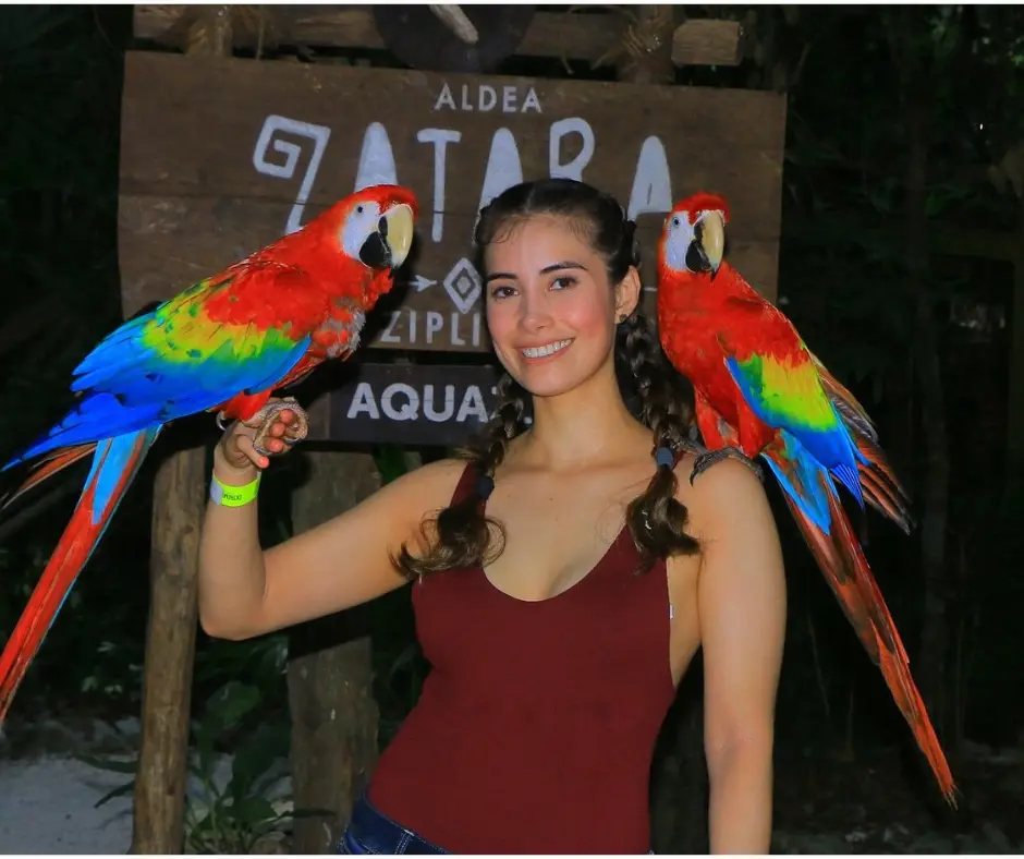 Disfruta de flora y fauna.